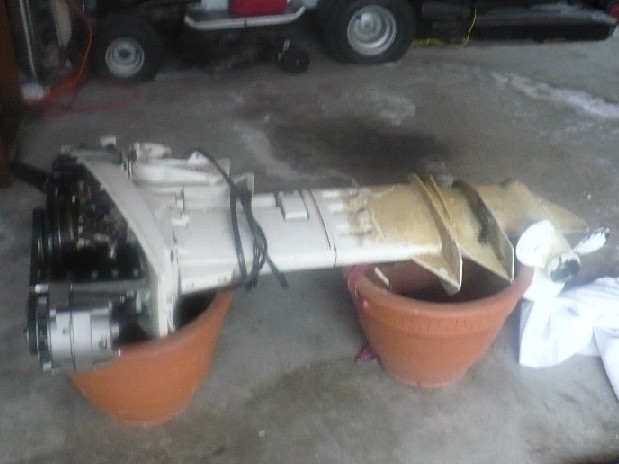 P1000481.JPG