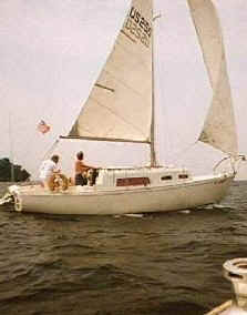 Saildog1_crop.jpg