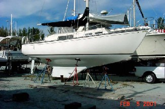 G30_Sea_Gryphon.jpg