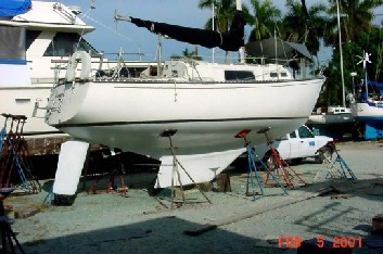 G30_Sea_Gryphon_2.jpg