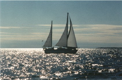Grampian 34 "Elysian" under sail