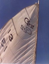 C22_Sail.jpg