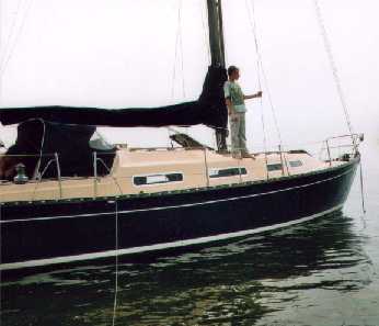 aigle.jpg