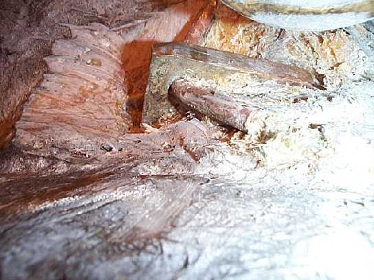 DCP07510.JPG