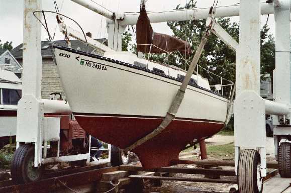Thumper Launch Bow.jpg