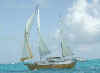 Grampian 34
