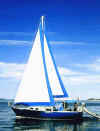 Grampian 28