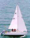 Grampian 7.9 Discovery