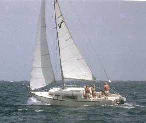 Petticoat IV Small.jpg